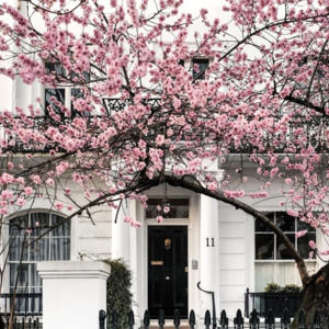 Meet your Posher, Sonia